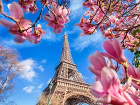 برج ایفل در فصل بهار